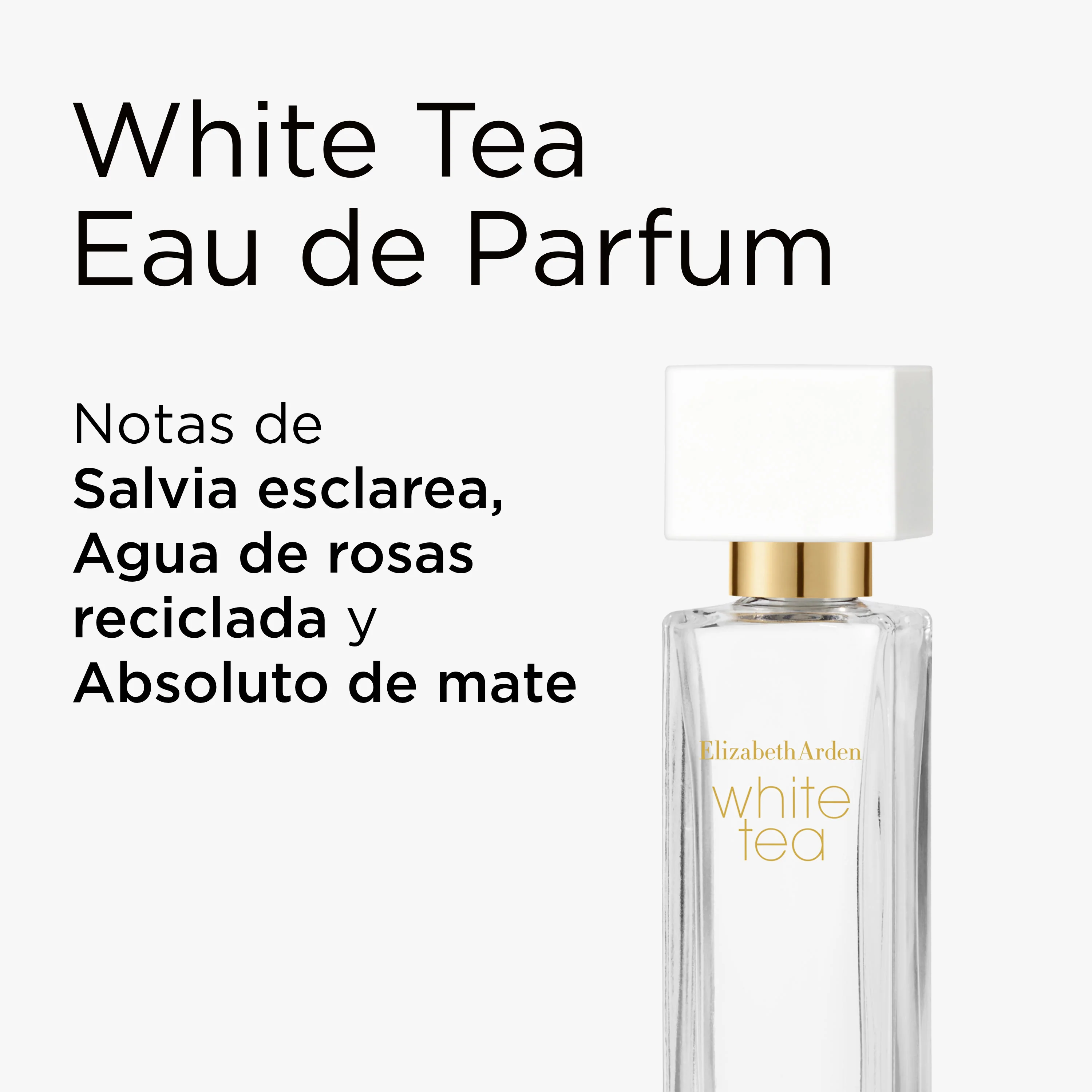 Cofre Mini Tallas de White Tea - Image 3