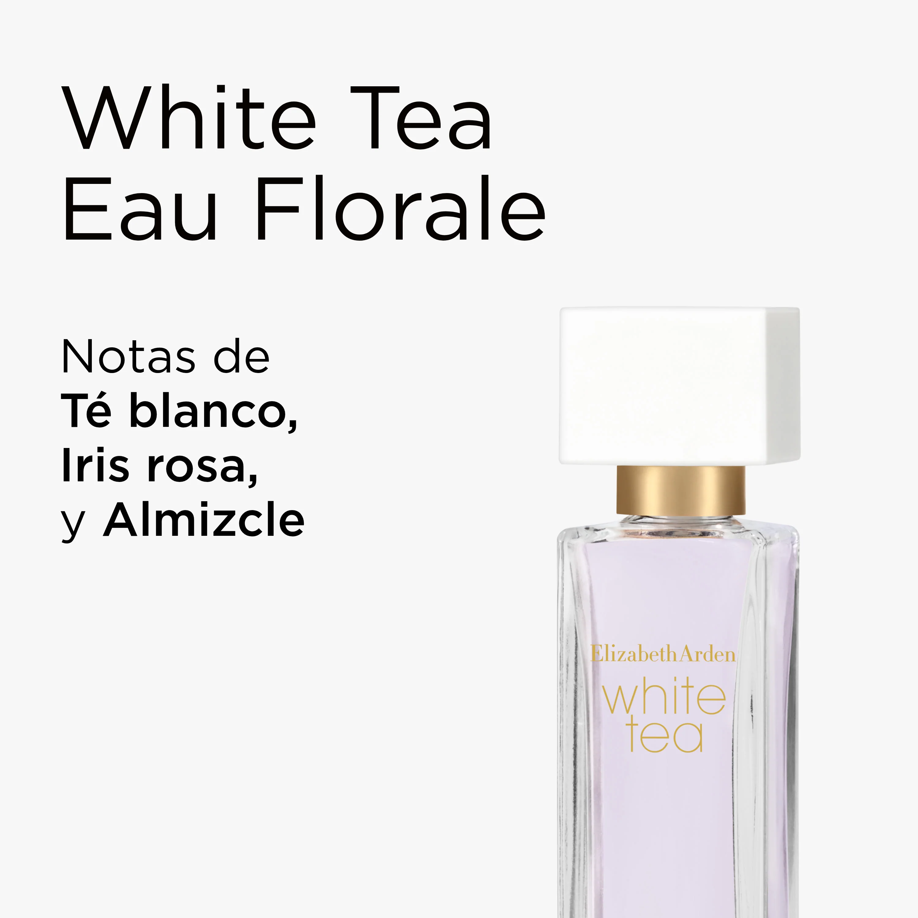 Cofre Mini Tallas de White Tea - Image 5