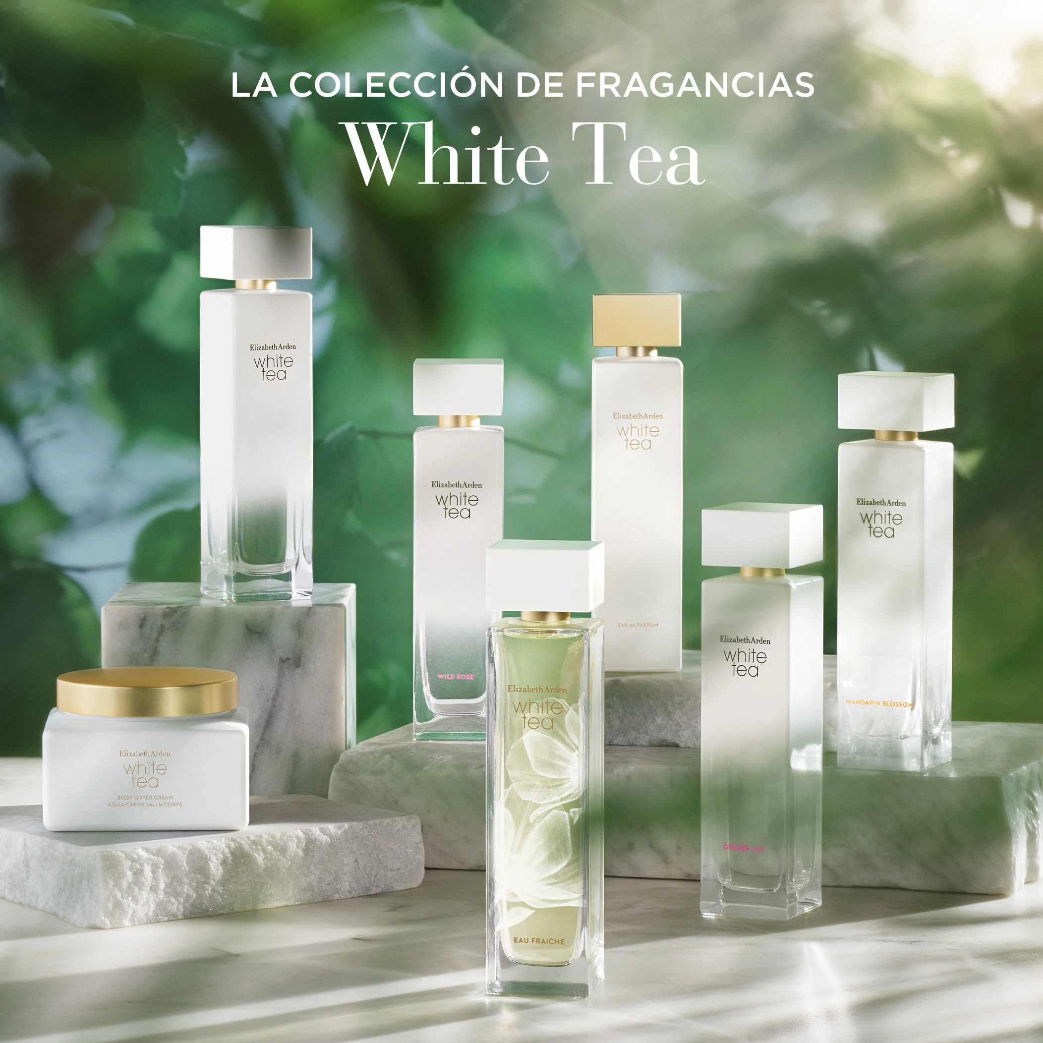 White Tea Eau Fraiche Eau De Toilette - Image 7
