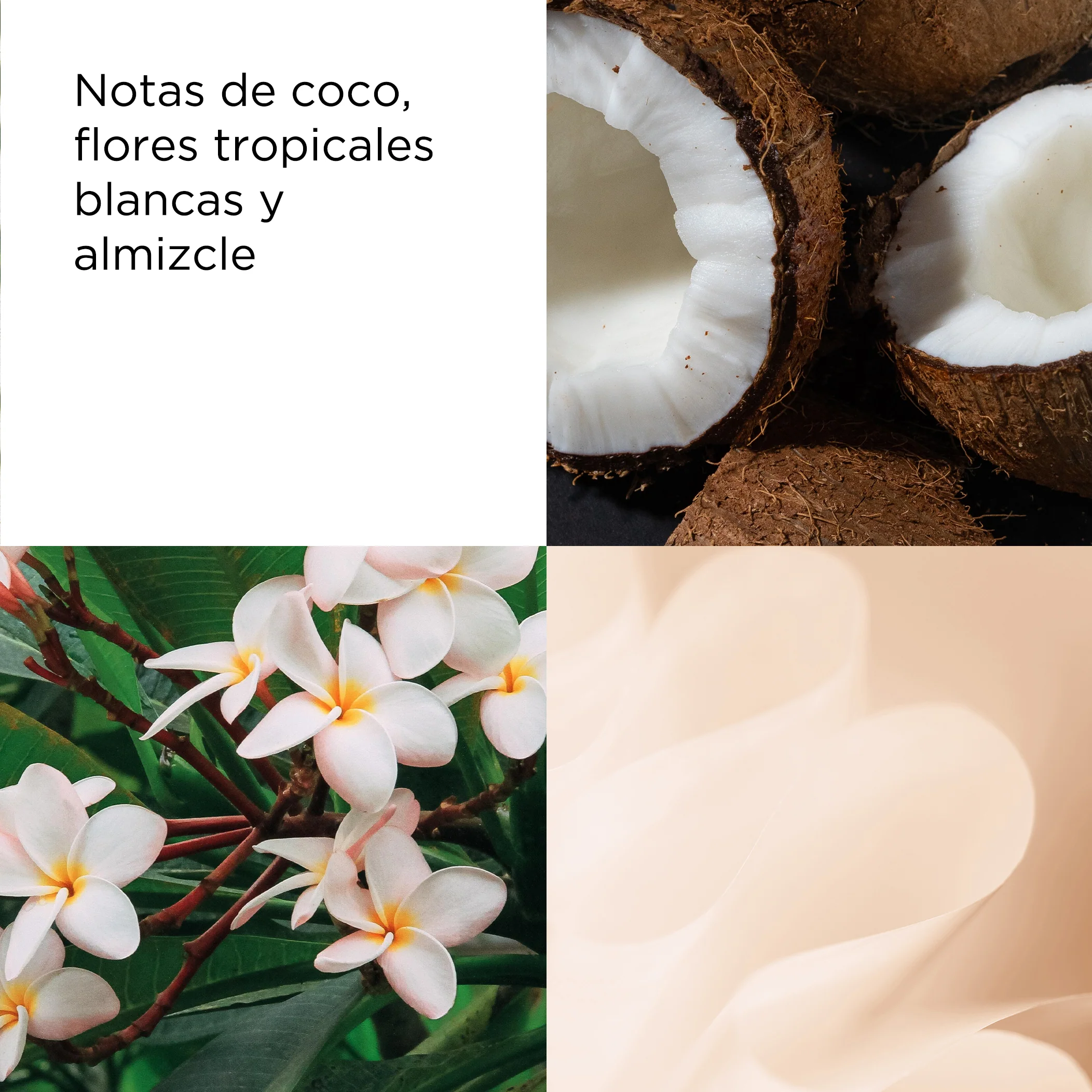 Green Tea Coconut Breeze Eau de Toilette - Image 3