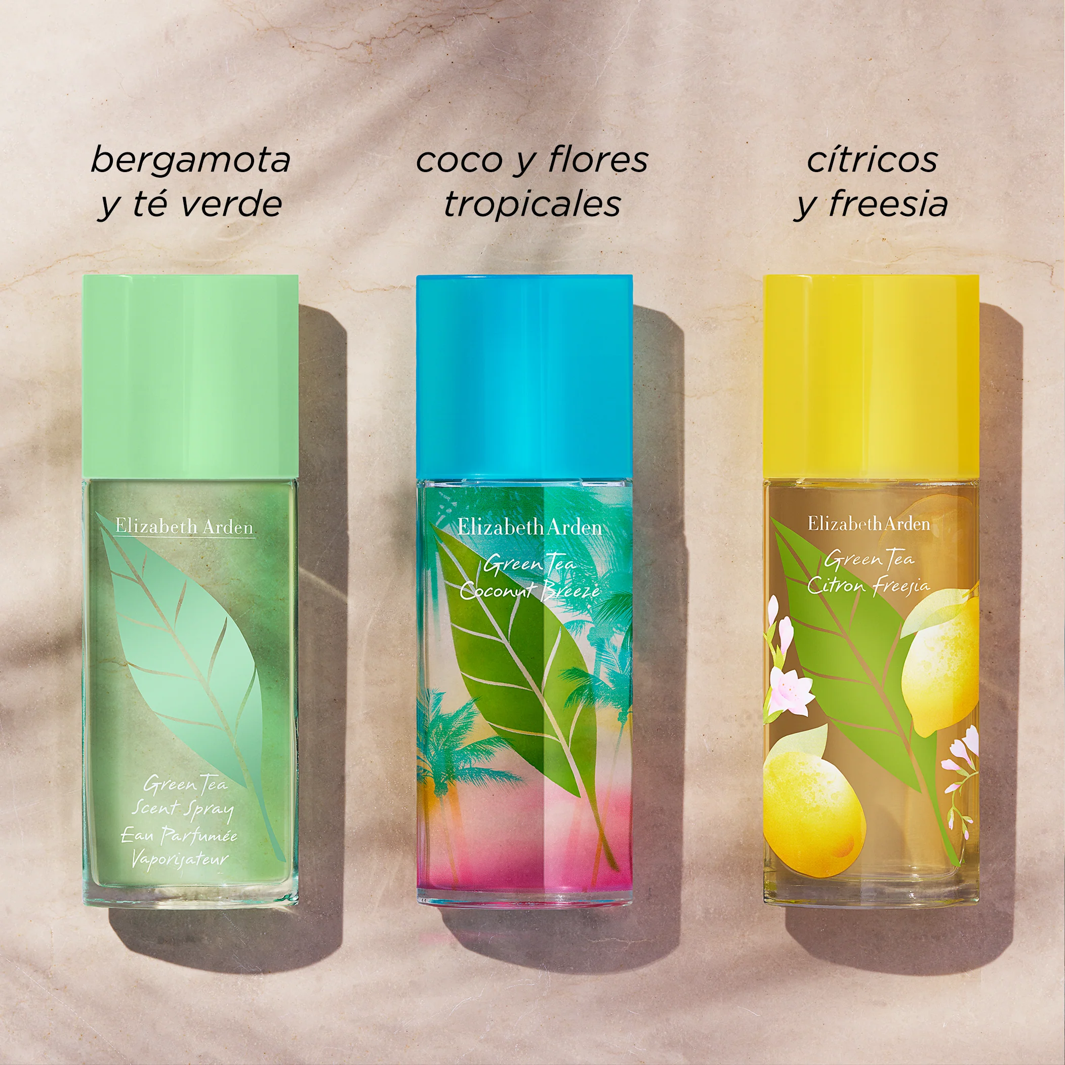 Green Tea Coconut Breeze Eau de Toilette - Image 5