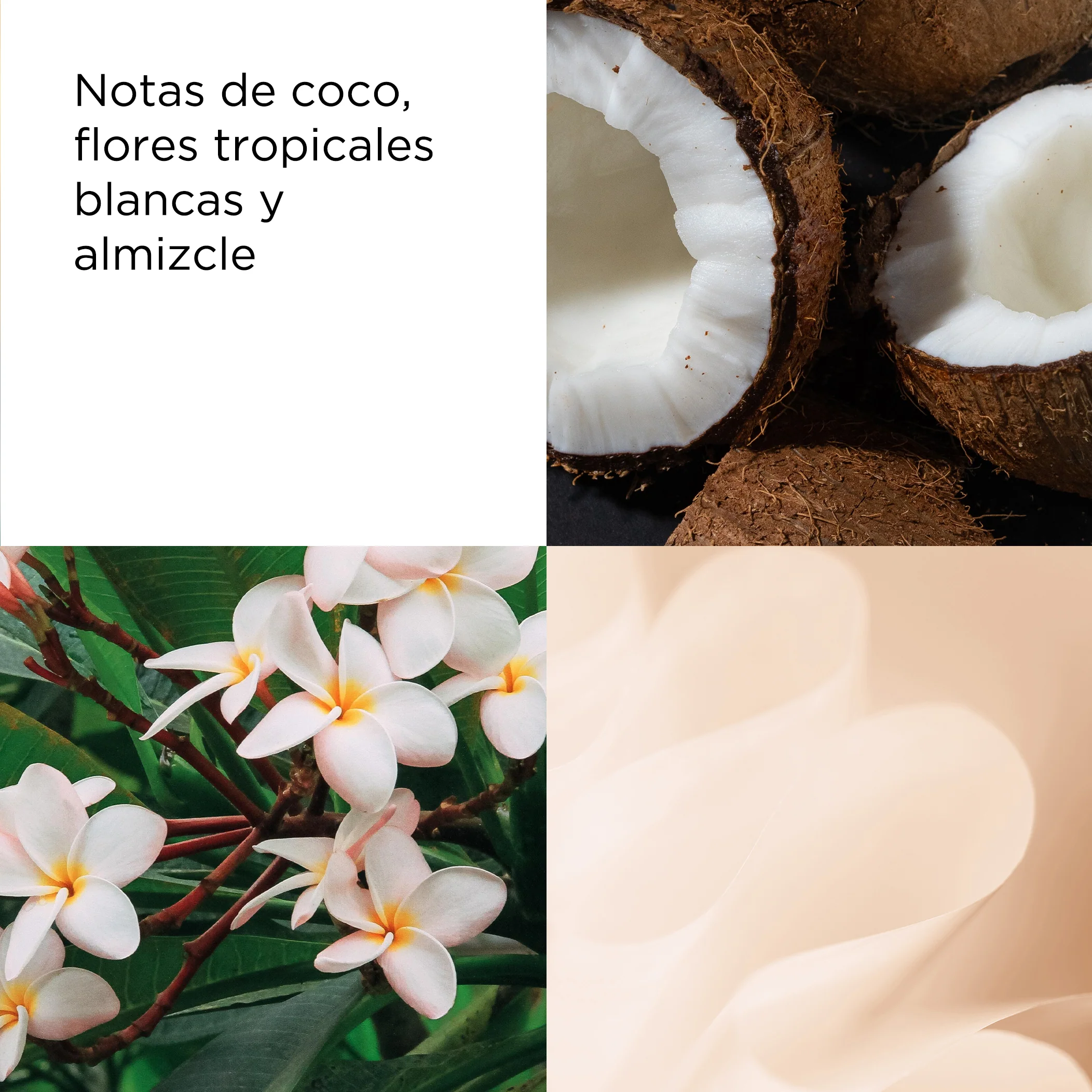 Green Tea Coconut Breeze Honey Drop Body Cream - Image 4