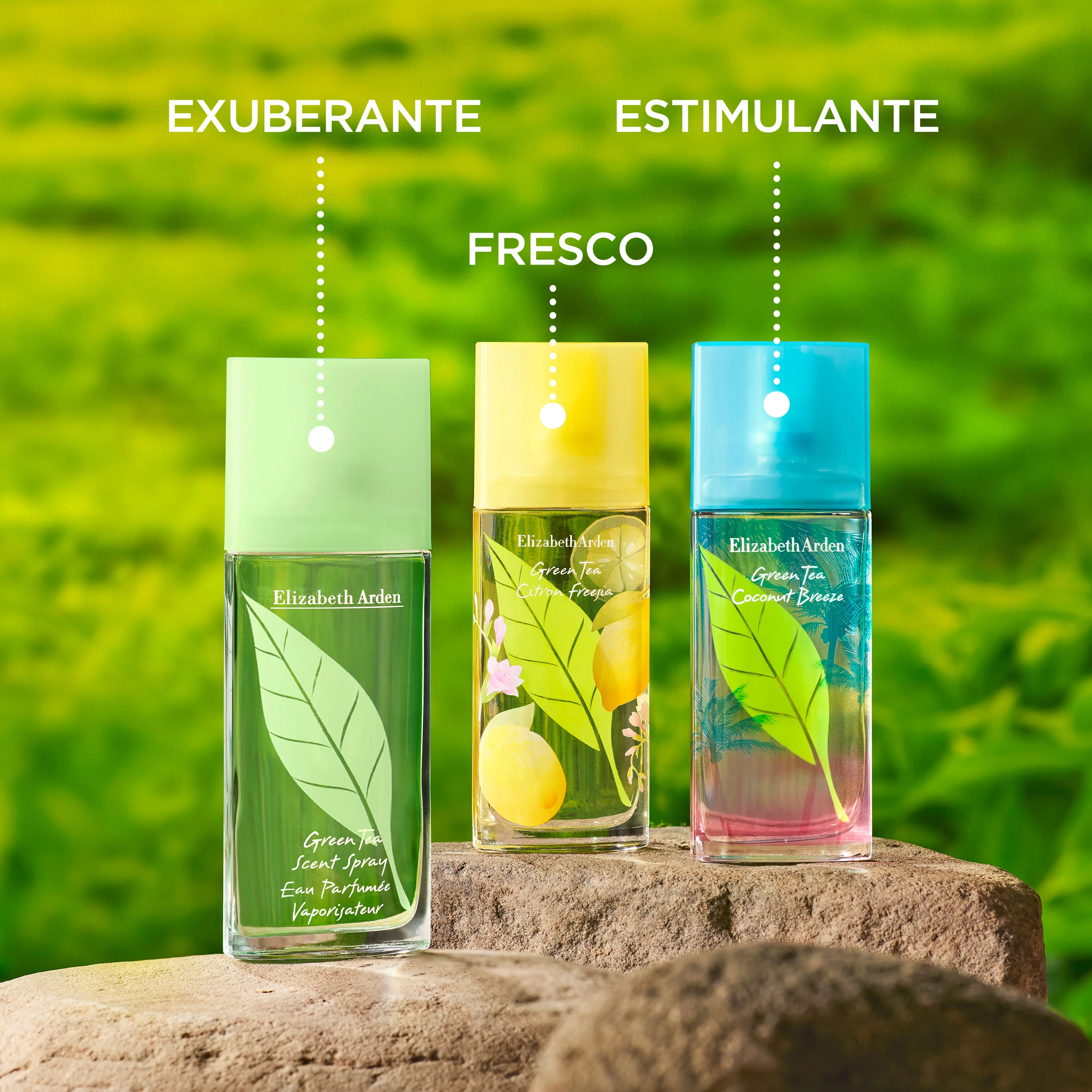 Green Tea Scent Spray - Image 6