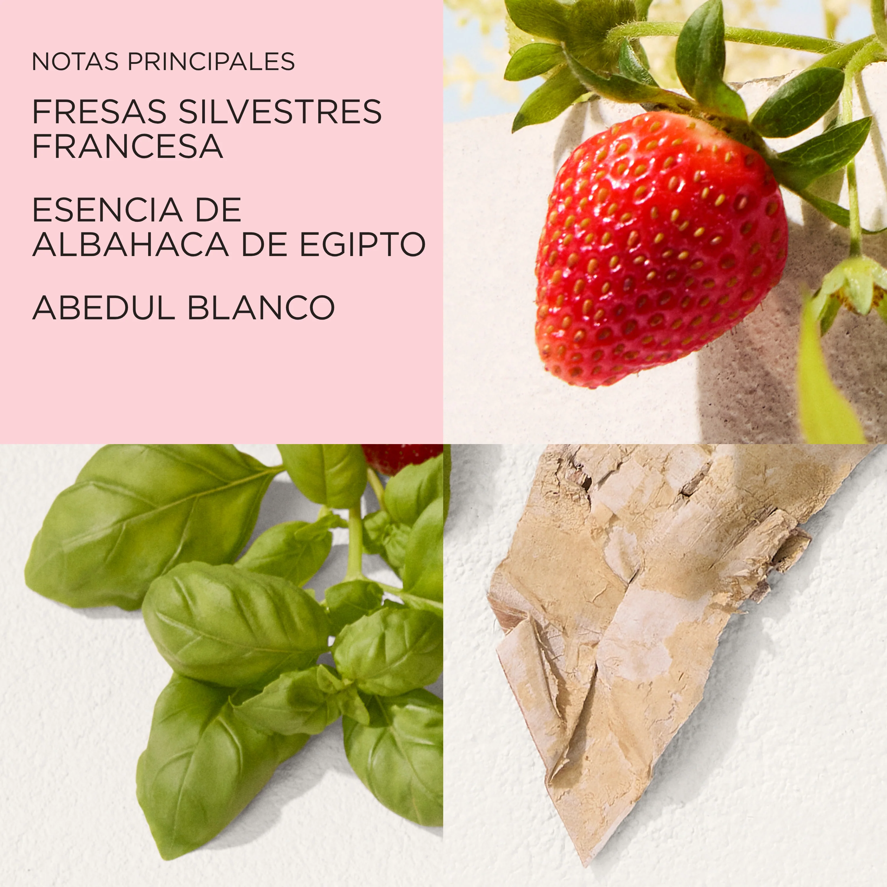 Green Tea Strawberry & Basil Eau de Toilette - Image 3