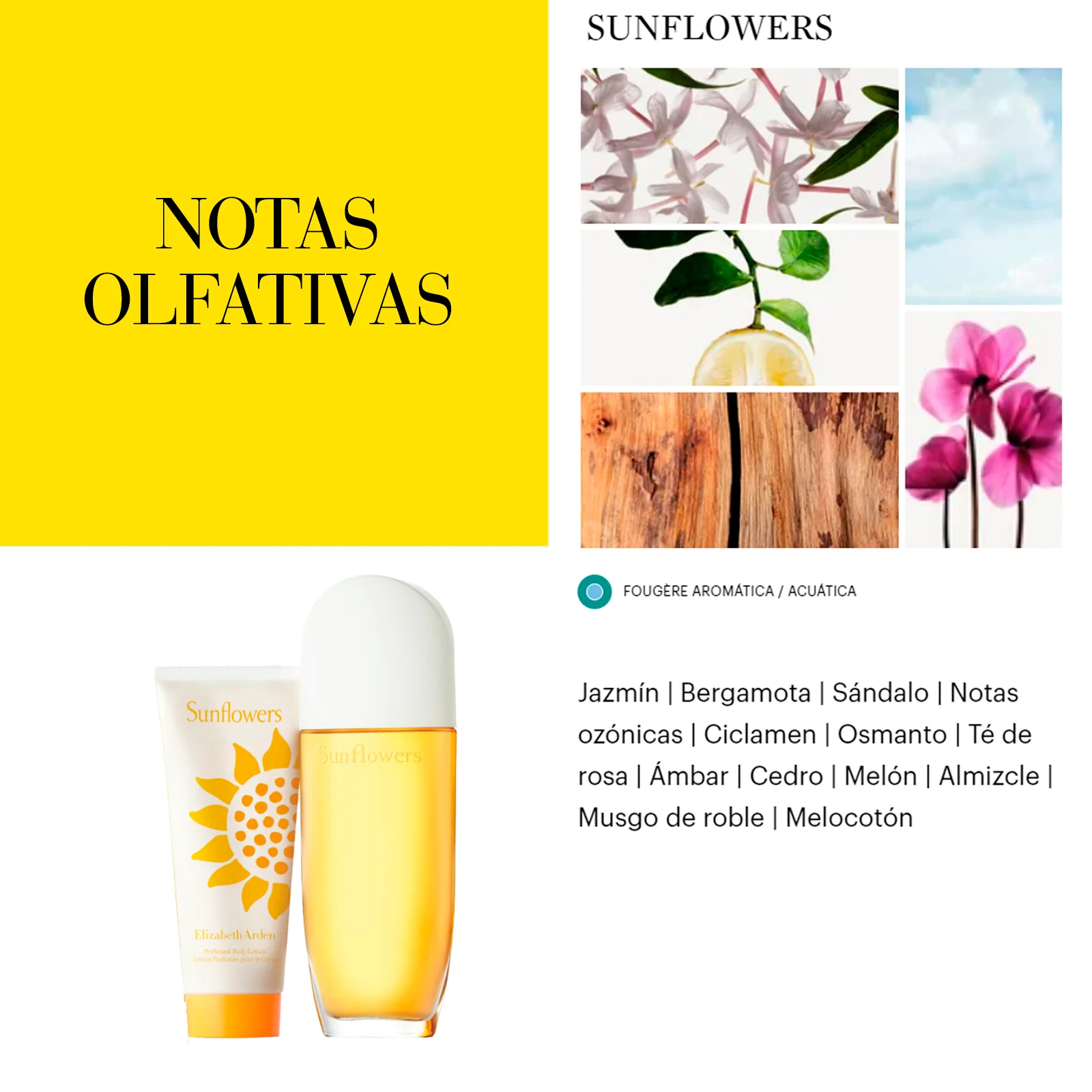 Sunflowers Eau De Toilette Spray Naturel - Image 3