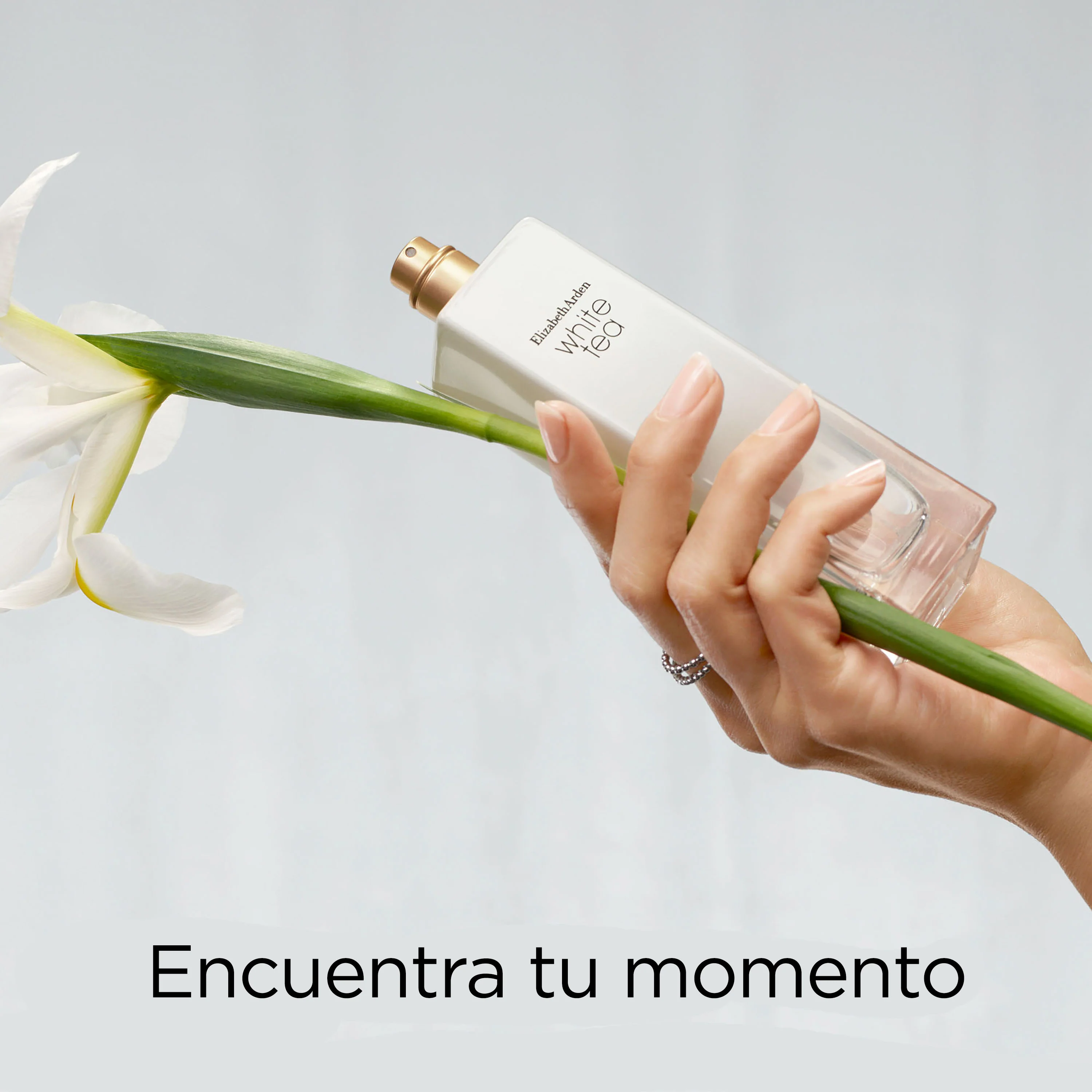 White Tea Eau de Toilette Spray - Image 3