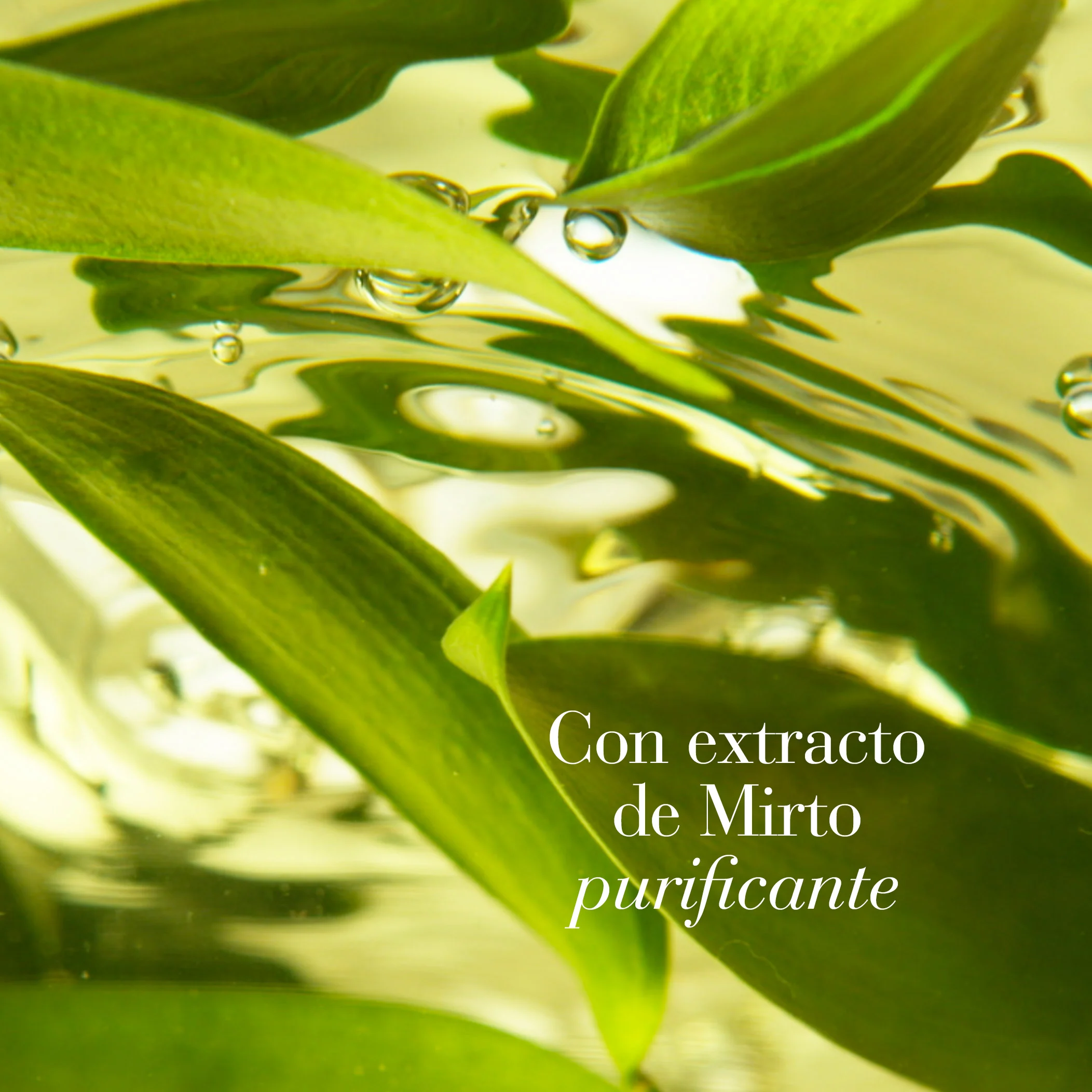 White Tea Skin Solutions Gentle Purifying Cleanser - Image 4